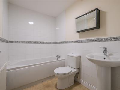 Picture 13